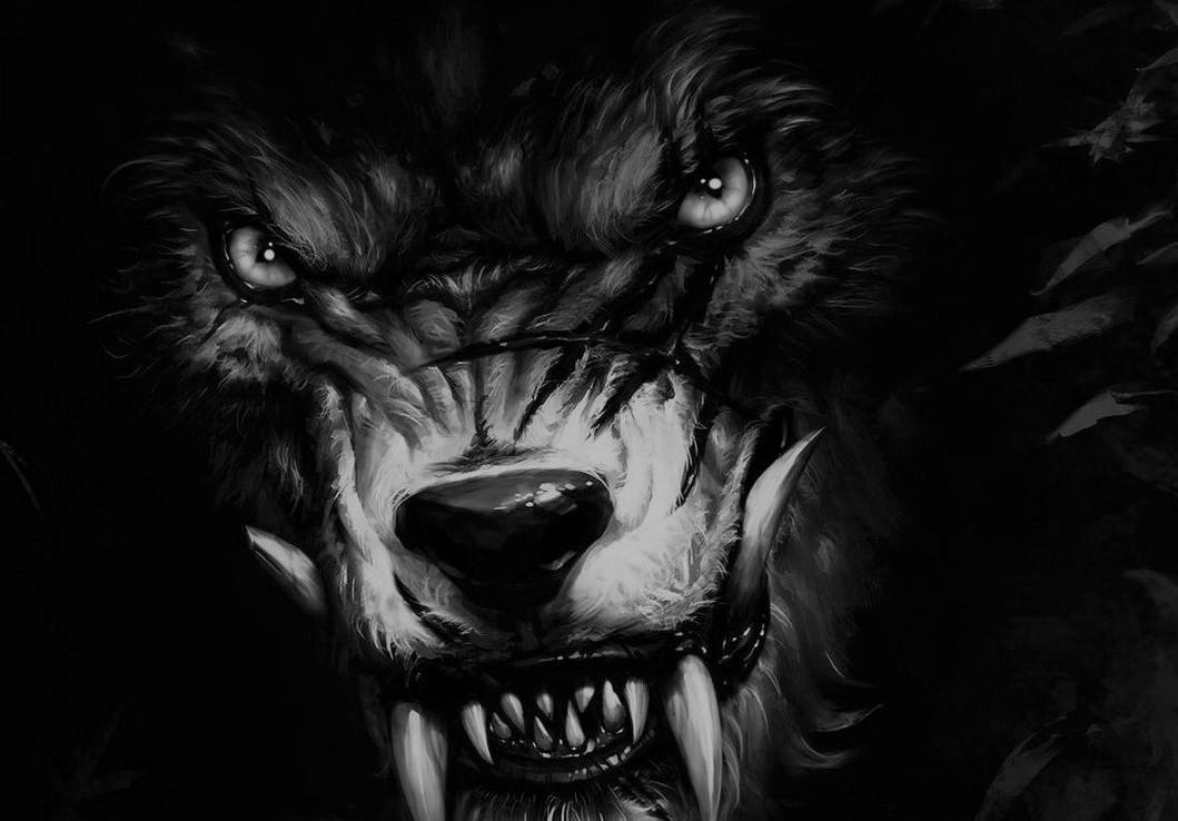 Homem lobo Meus Sertões Homem lobo Meus Sertões