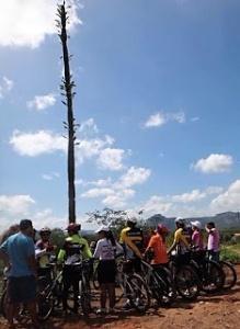 Mandacaru de Quixadá (CE). Foto: Reprodução da internet