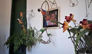 Orquídea e papagaios de madeira diante da fotografia dos pais de Cristóvão. Foto: Paulo Oliveira