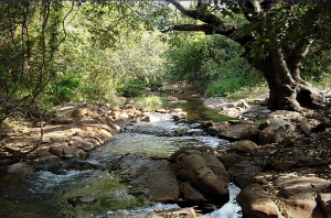 Rio Verde a 20 km a montante da barragem de Mirorós, em setembro de 2008. Foto: Tássio Cunha