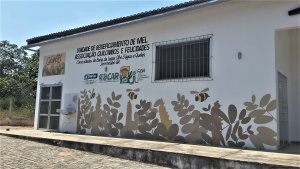 Unidade beneficiamento de mel está desativada há cinco anos por falta de gerador que o governo do estado não instala. A comunidade produz 9,5 mil litros de mel por ano. Foto: Paulo Oliveira